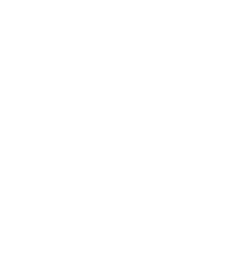 C++